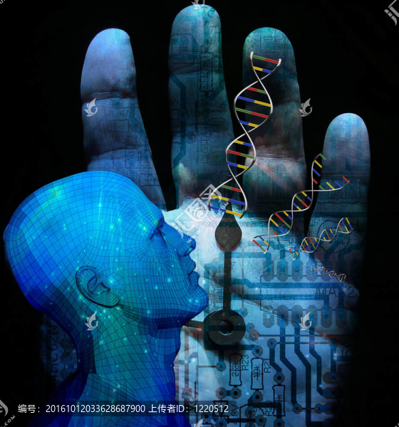 機的DNA