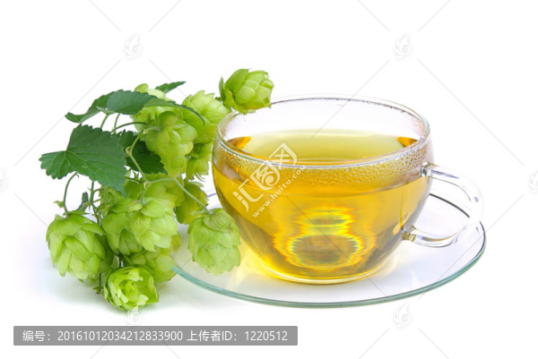 茶跳01