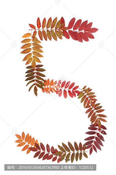 從秋季表上的數(shù)字5五