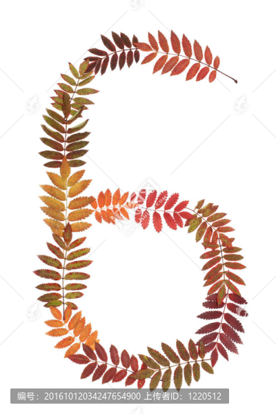 從秋季表上的數(shù)字6六