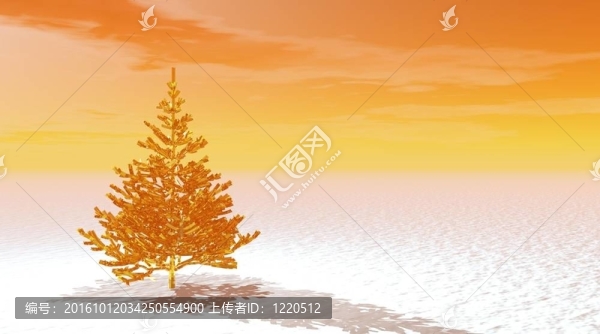 日出時雪上的金冷杉樹