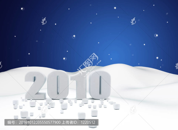 2010在雪地上