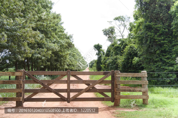 農(nóng)村的大門