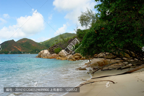 波浪在沙灘上翻滾。