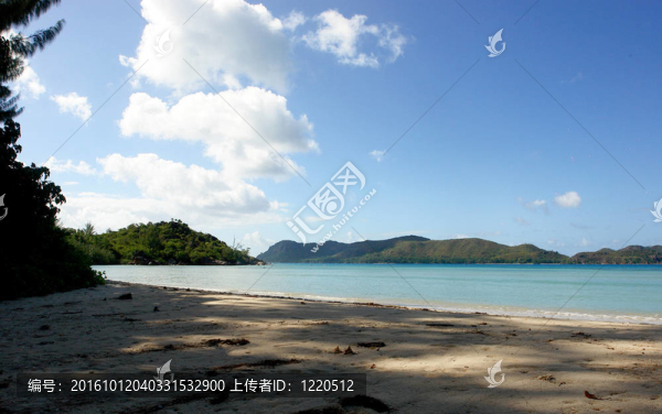 波浪在沙灘上翻滾。