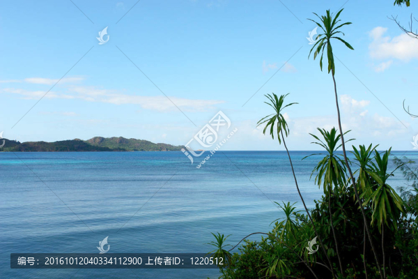 從叢林的海洋風(fēng)景如畫。