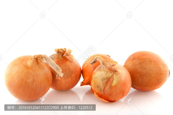 洋蔥