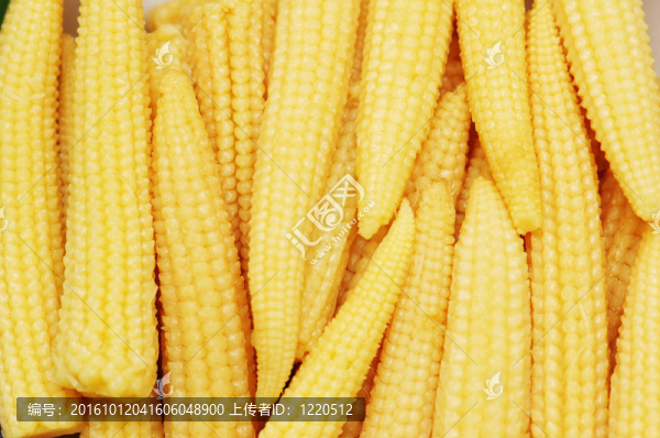 以嬰兒玉米為背景