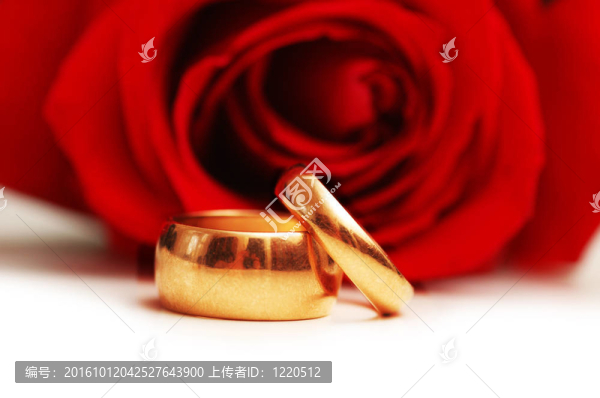 婚禮概念玫瑰和兩個戒指