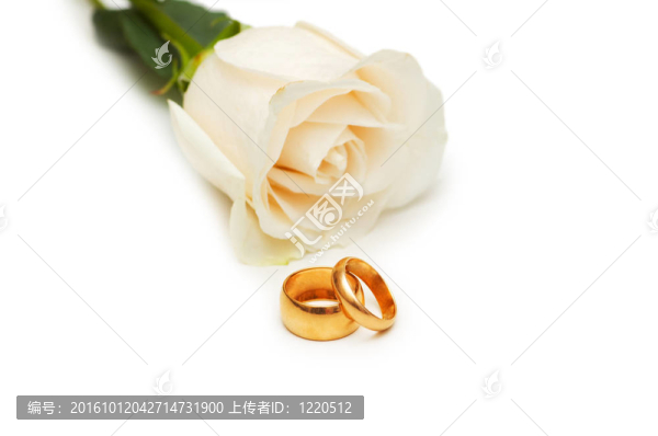 白色的玫瑰和婚戒
