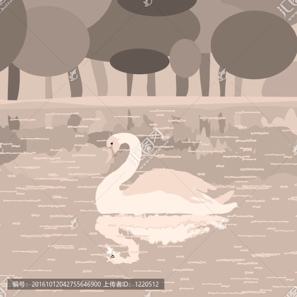 湖上的天鵝