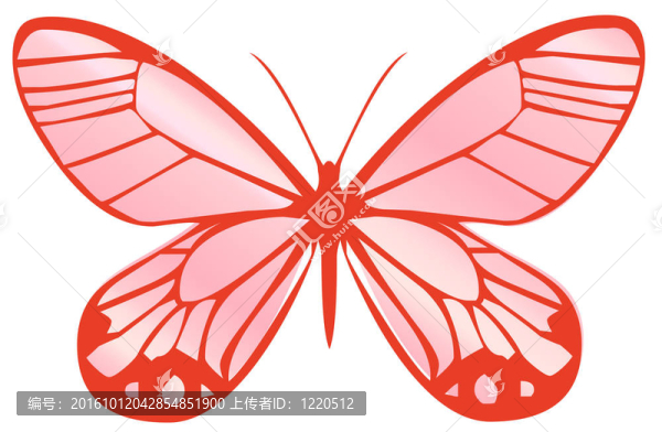蝴蝶