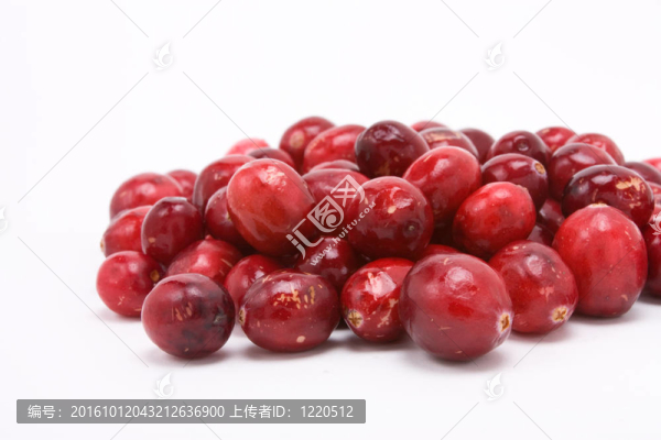 小紅莓
