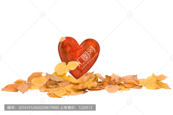 秋天的心