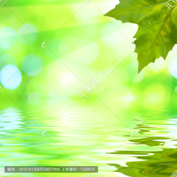 美麗的綠葉與綠色背景的春天