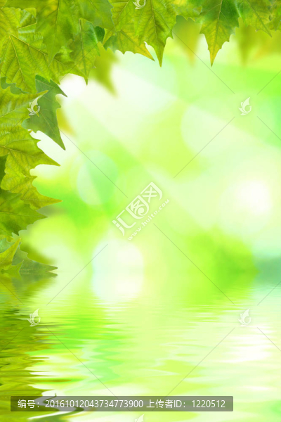 美麗的綠葉與綠色背景的春天