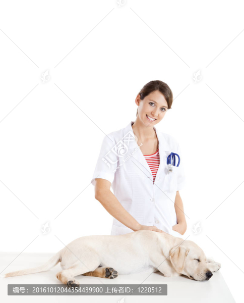 獸藥照顧狗