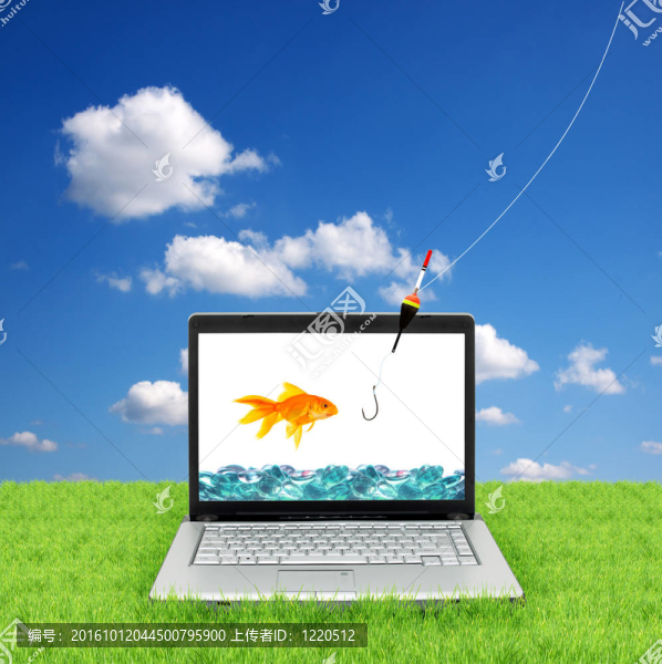 筆記本電腦里的金魚