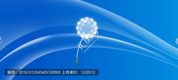 蒲公英
