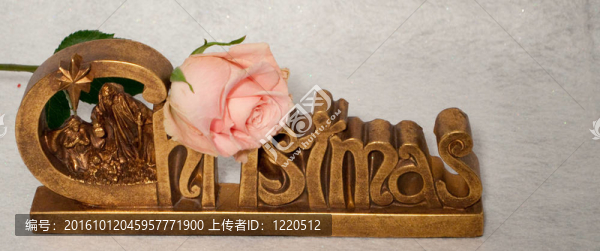 粉紅玫瑰的圣誕標(biāo)志