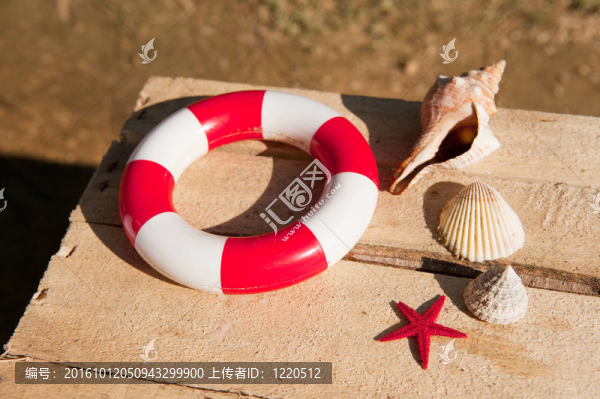 在海灘上發(fā)現(xiàn)