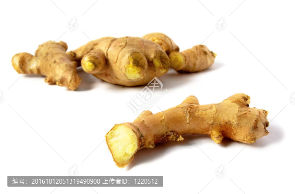 生姜根