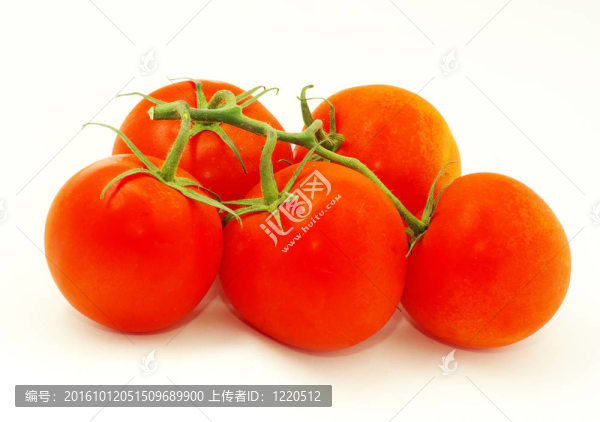 西紅柿