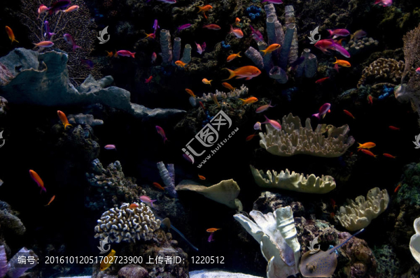 水族館