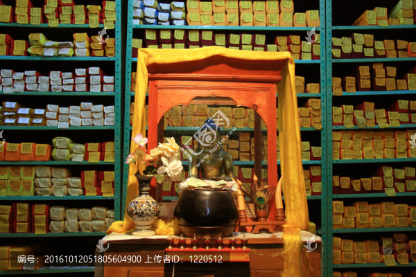 西藏圖書館；Mcleod,Ganj；印度