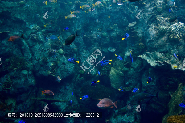 水族館