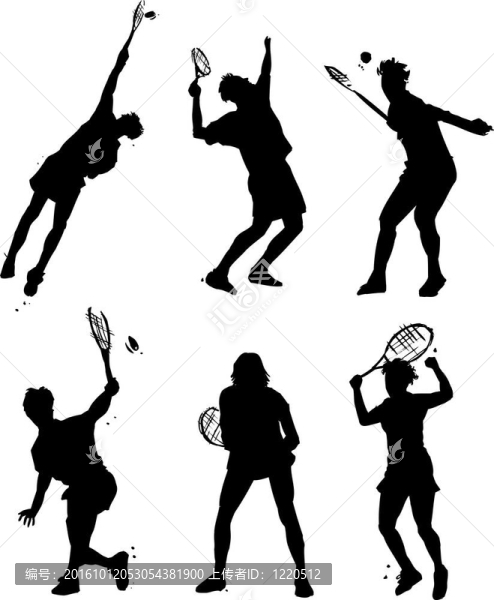 網(wǎng)球的插圖