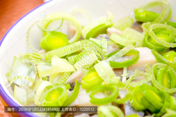菲力鯡魚
