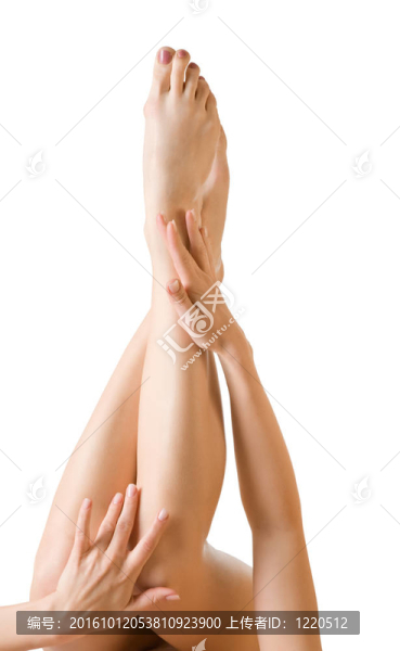 性感的女人的腿