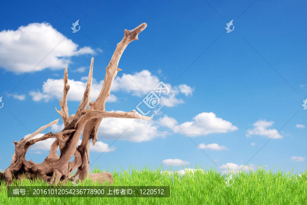 干死的問題