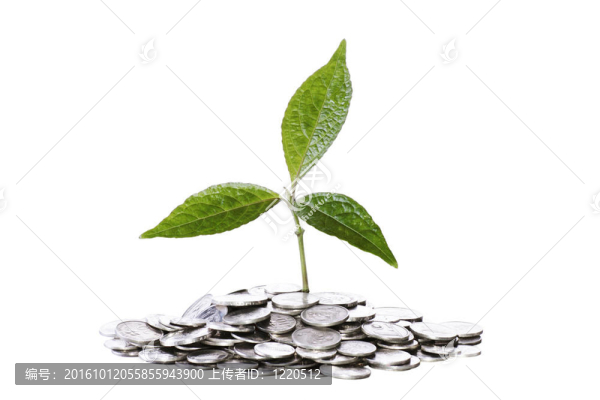 硬幣上的小工廠