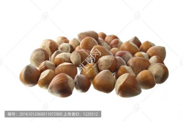 榛果