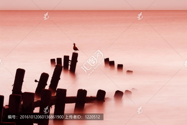 海上日出；Norfolk