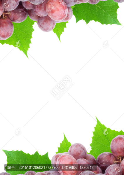 葡萄
