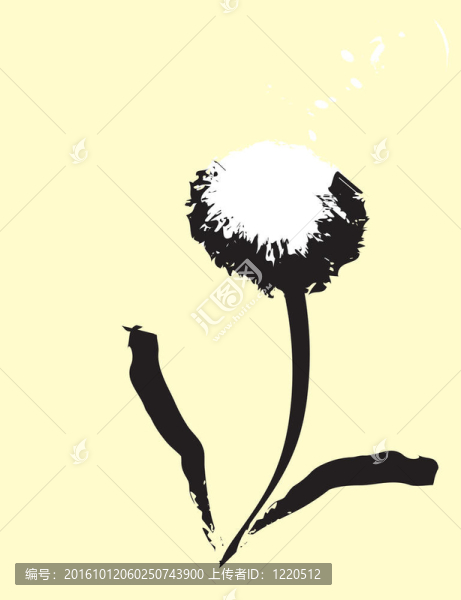 蒲公英