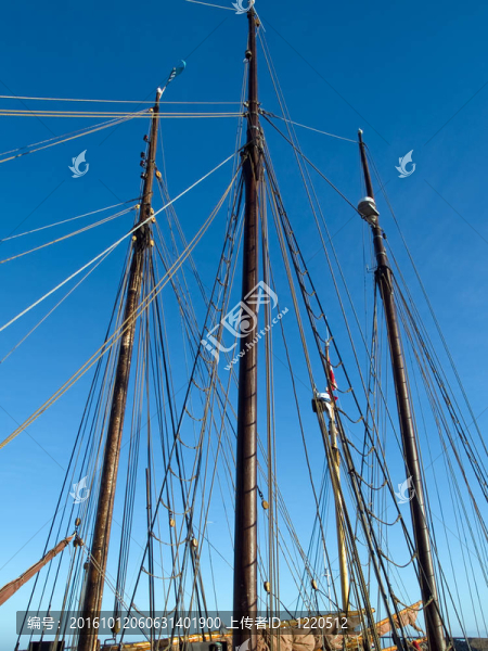 帆船的桅桿木tallships
