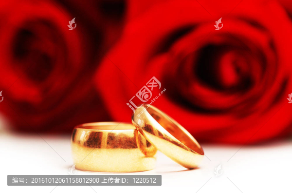 兩枚結婚戒指和白色的紅玫瑰