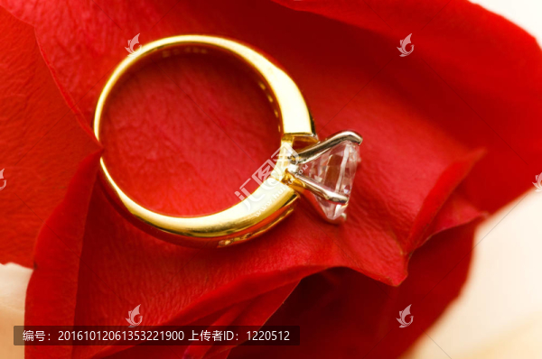 紅玫瑰花瓣上的結(jié)婚戒指