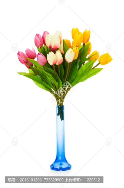 白色郁金香上的郁金香花瓶