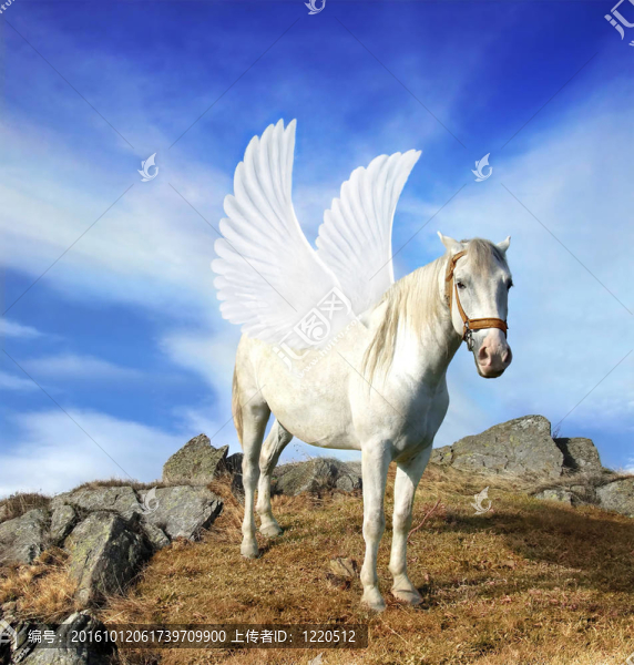 飛馬