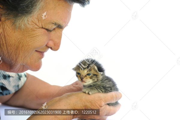 高級女子控股小貓