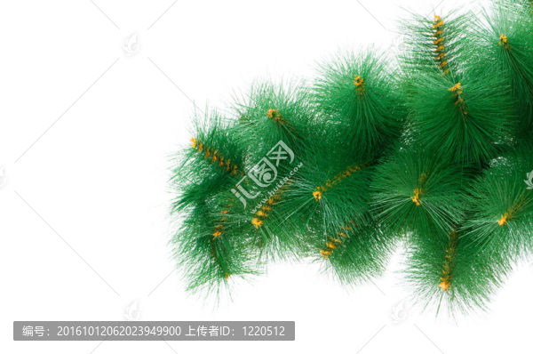 白色背景下的圣誕樹