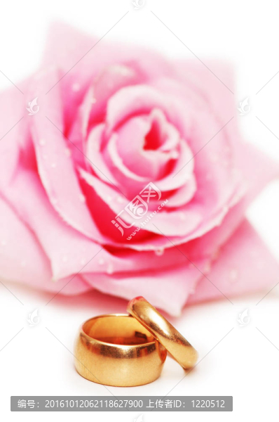兩個(gè)結(jié)婚戒指和玫瑰在后臺(tái)