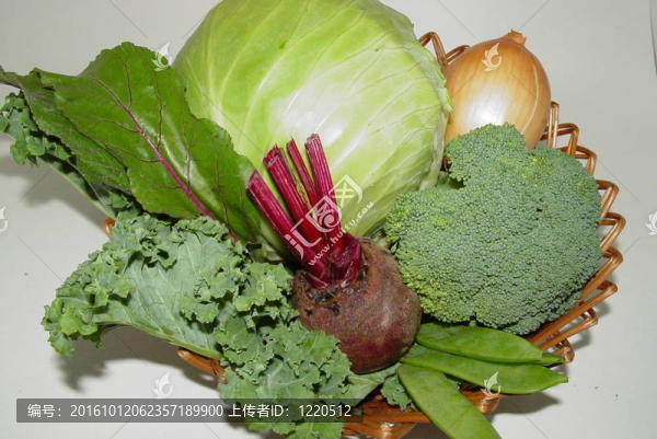 卷心菜和花椰菜