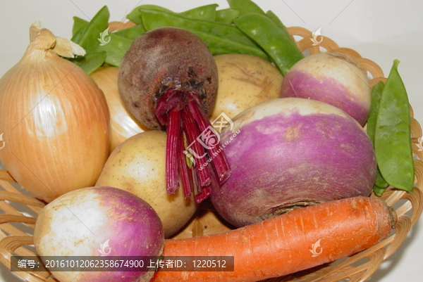 甜菜指責(zé)胡蘿卜