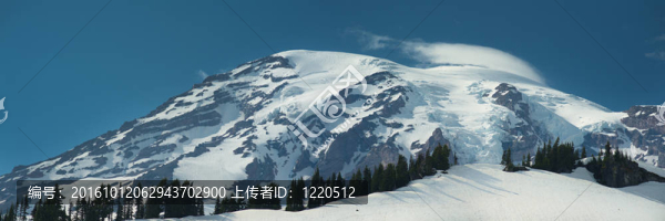 雷尼爾山